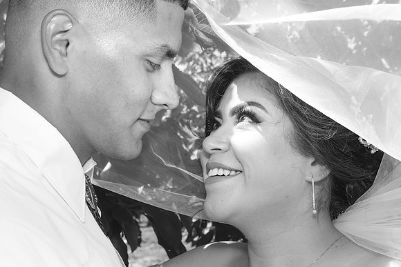 IMG_0421