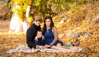 Arroyo Family
